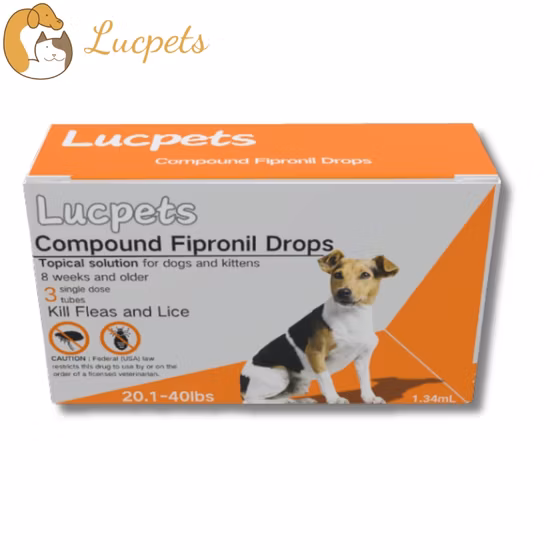 倉庫建設掘削現場の歩行者コーナー向け RTL テクノロジーとアクティブ RFID タグを使用したフォークリフトの死角安全性